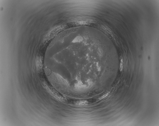 X0000054370410200508011226