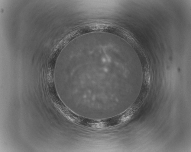 X0000054370411200508011226