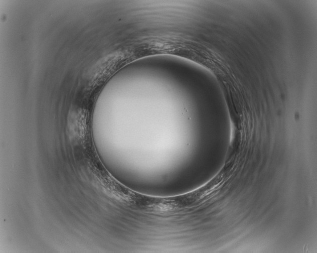 X0000054370412200508011226