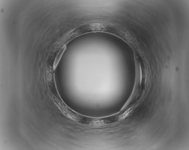 X0000054370413200508011226