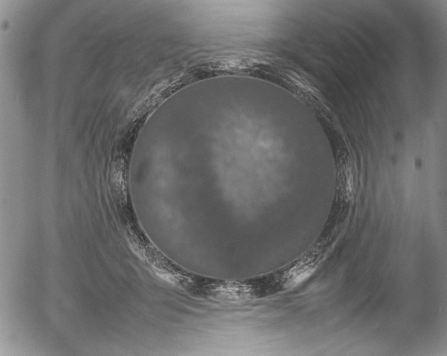 X0000054370415200508011226