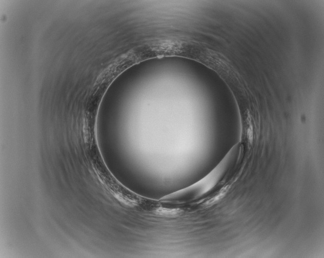 X0000054370416200508011226