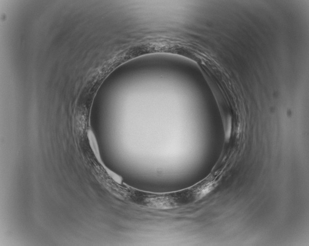 X0000054370417200508011226