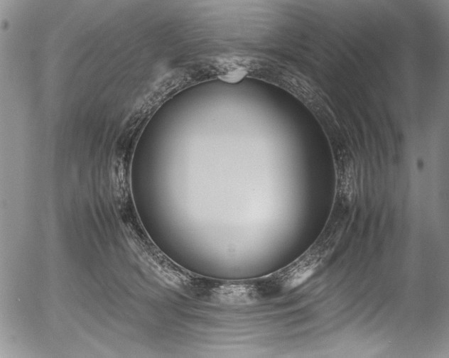 X0000054370418200508011225