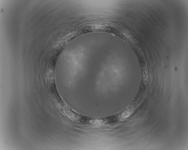 X0000054370419200508011225