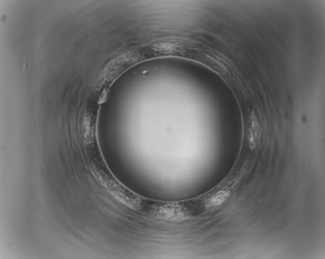 X0000054370420200508011225