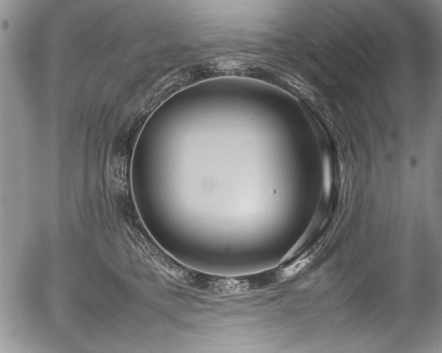 X0000054370421200508011225