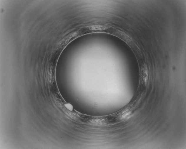 X0000054370422200508011225