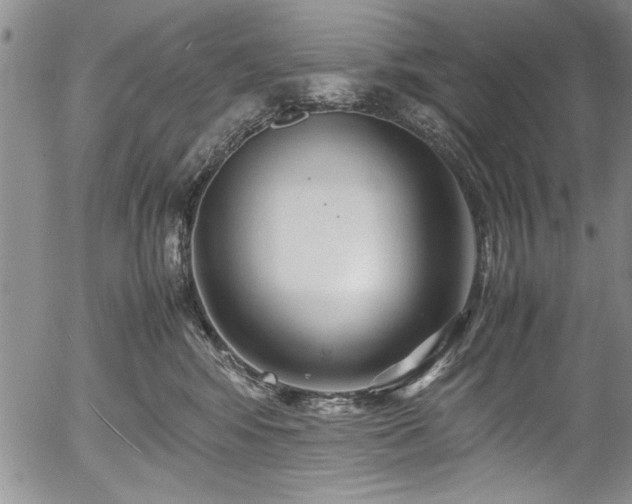 X0000054370424200508011225