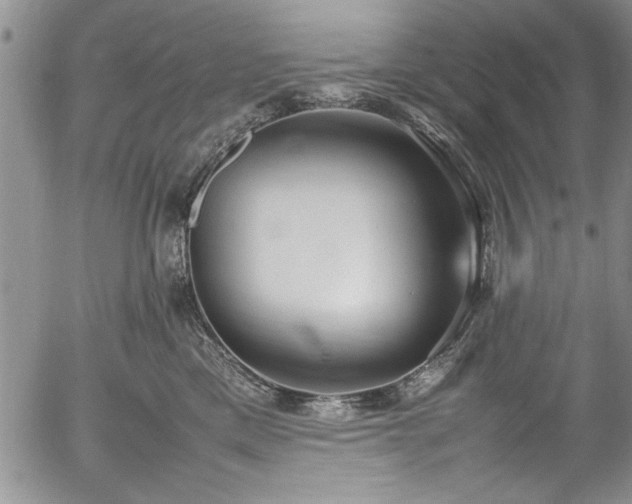 X0000054370425200508011225