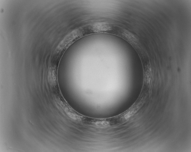 X0000054370426200508011225