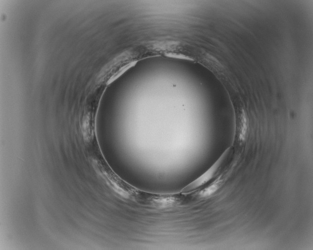 X0000054370428200508011225