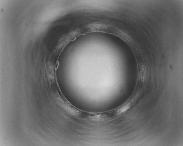 X0000054370430200508011225