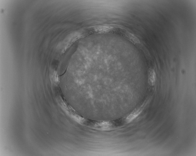 X0000054370431200508011225