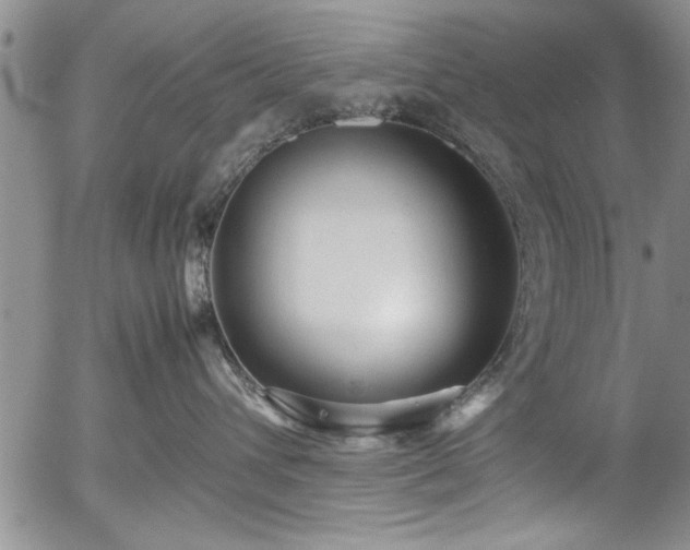 X0000054370432200508011225