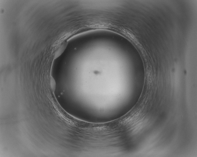 X0000054370433200508011224