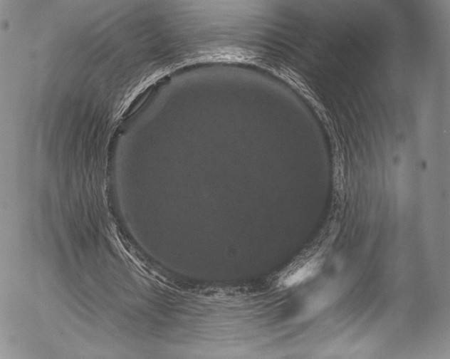 X0000054370434200508011224