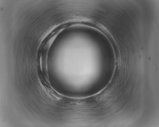 X0000054370436200508011224