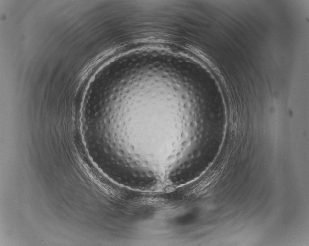 X0000054370437200508011224