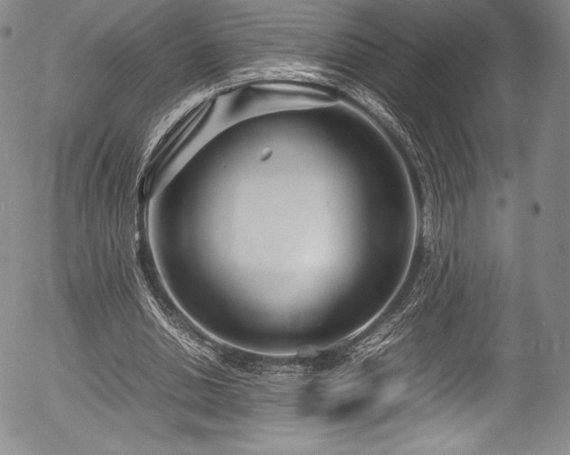 X0000054370438200508011224