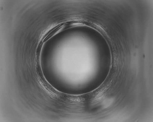 X0000054370439200508011224