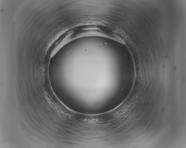 X0000054370440200508011224