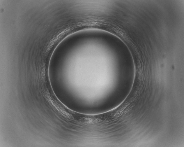 X0000054370442200508011224