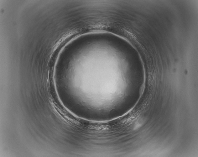 X0000054370443200508011225