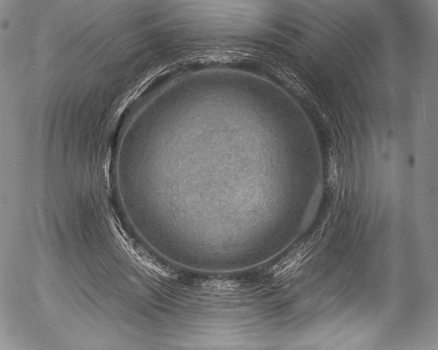 X0000054370444200508011225