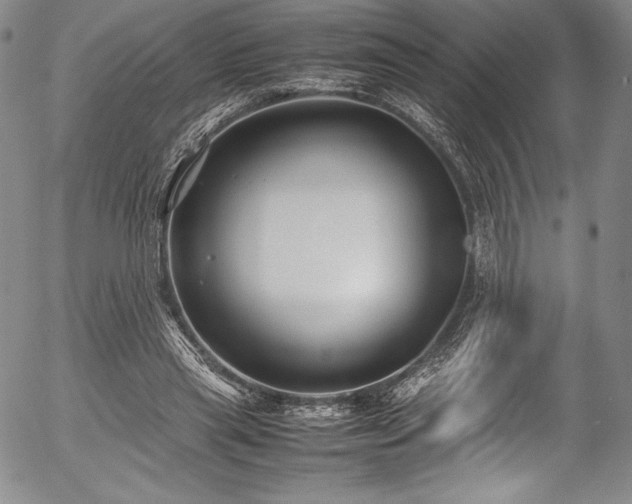 X0000054370445200508011225