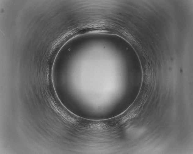 X0000054370446200508011225