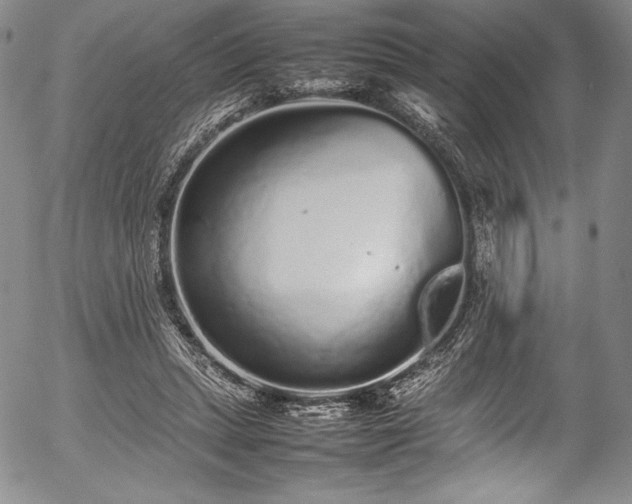 X0000054370447200508011225