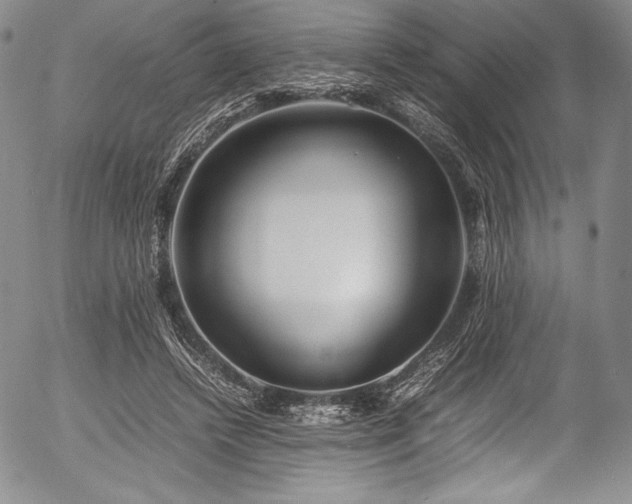 X0000054370448200508011225