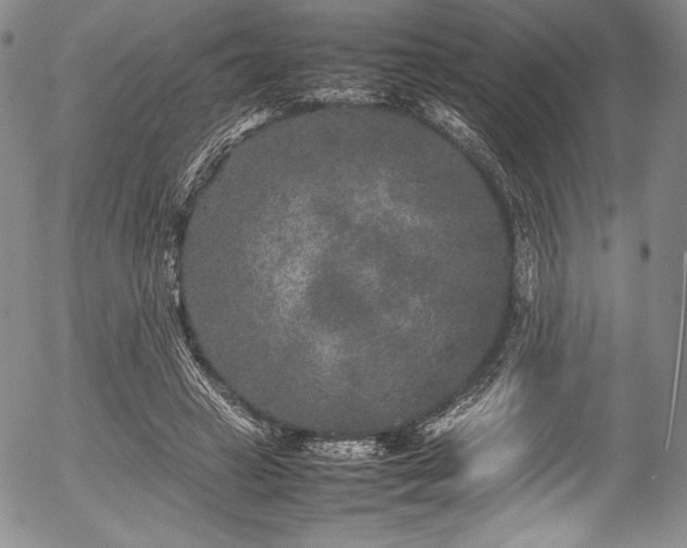 X0000054370449200508011225