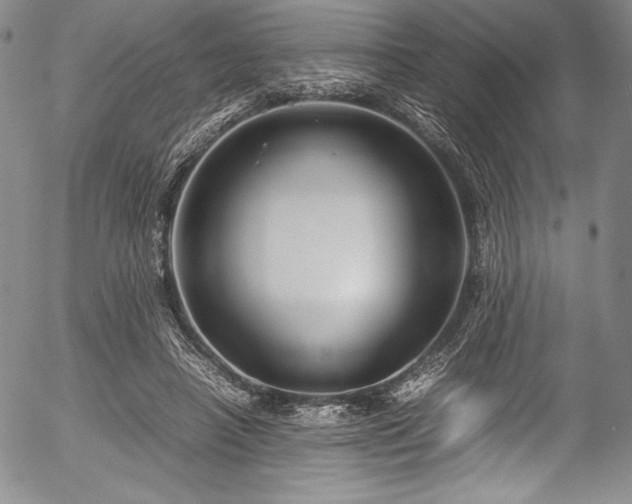 X0000054370450200508011225