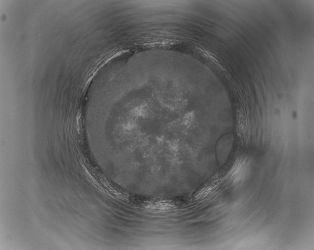 X0000054370451200508011225