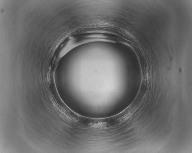 X0000054370452200508011225