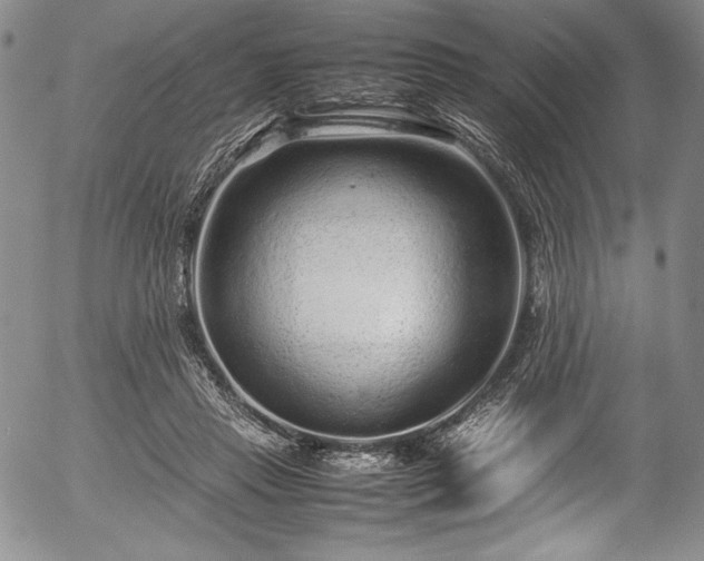 X0000054370453200508011225