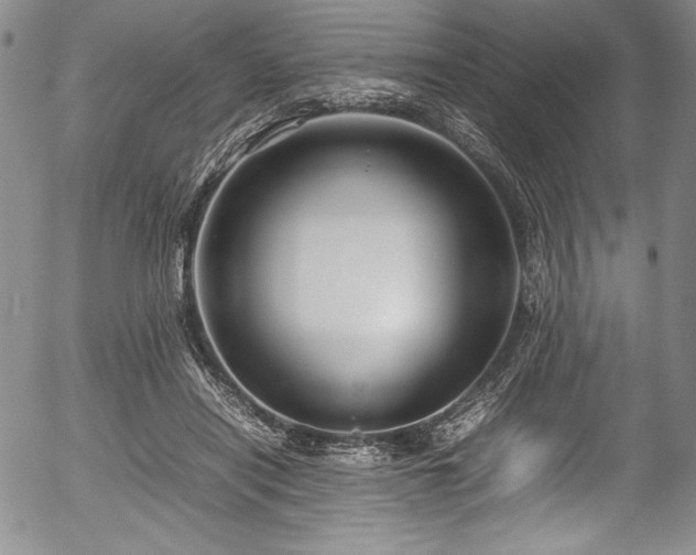 X0000054370454200508011225