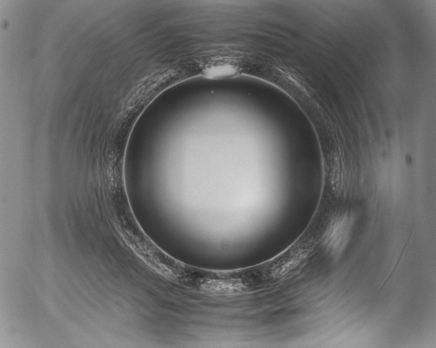 X0000054370455200508011225