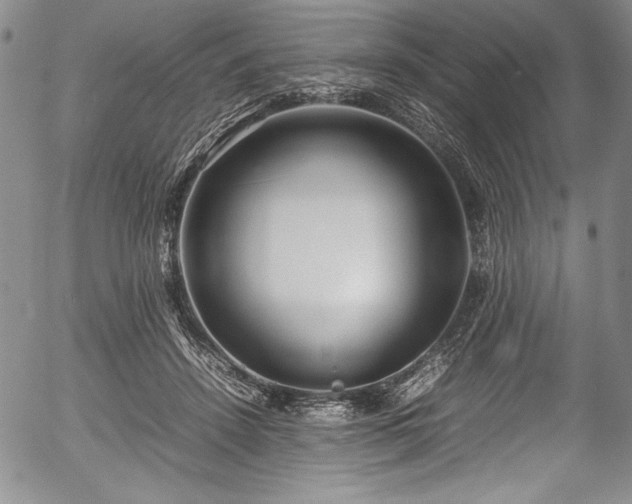 X0000054370456200508011225