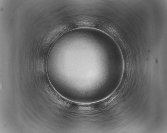 X0000054370457200508011225