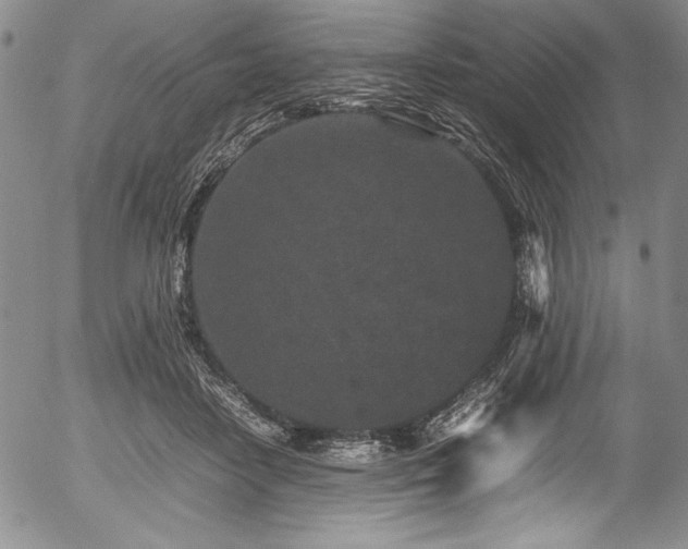 X0000054370458200508011225