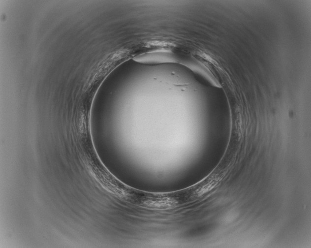 X0000054370459200508011225