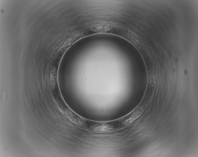 X0000054370460200508011225