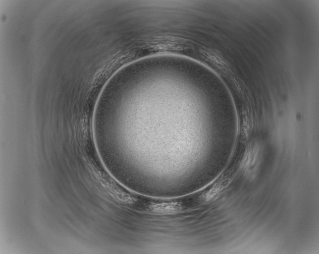 X0000054370461200508011225