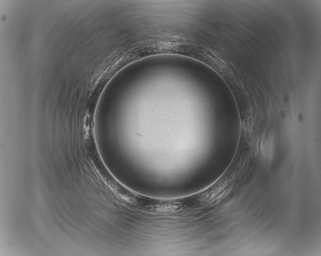 X0000054370462200508011225