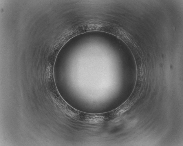 X0000054370463200508011225