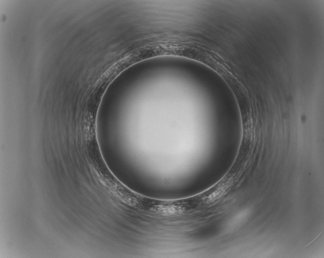 X0000054370464200508011225