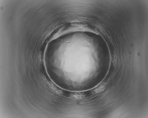 X0000054370466200508011225